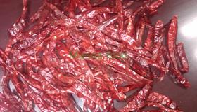Wrinkle Stemless Chilli